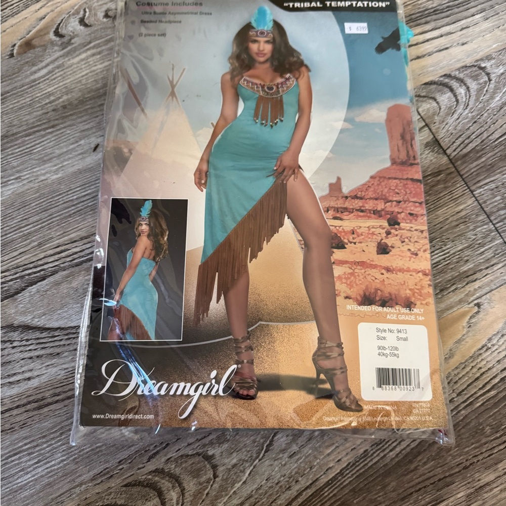Dreamgirl Tribal Temptation Costume in Turquoise and Brown